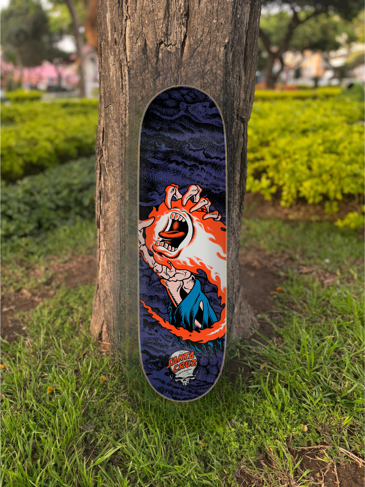 TABLA SANTA CRUZ VX COREY O´BRIEN