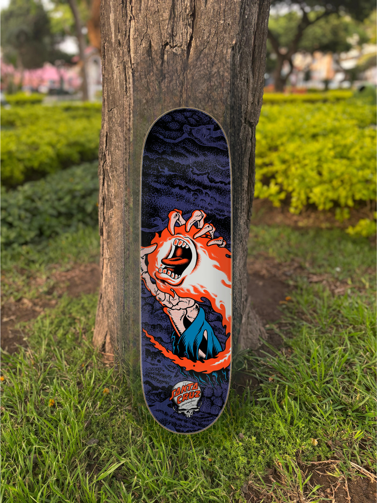 TABLA SANTA CRUZ VX COREY O´BRIEN