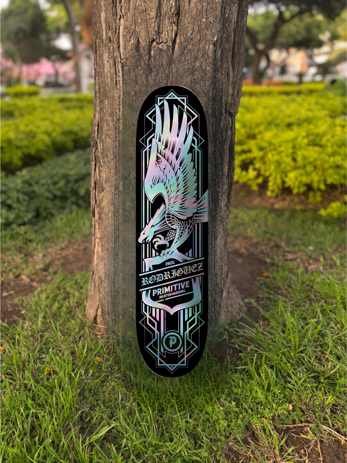 TABLA PRIMITIVE BLACK