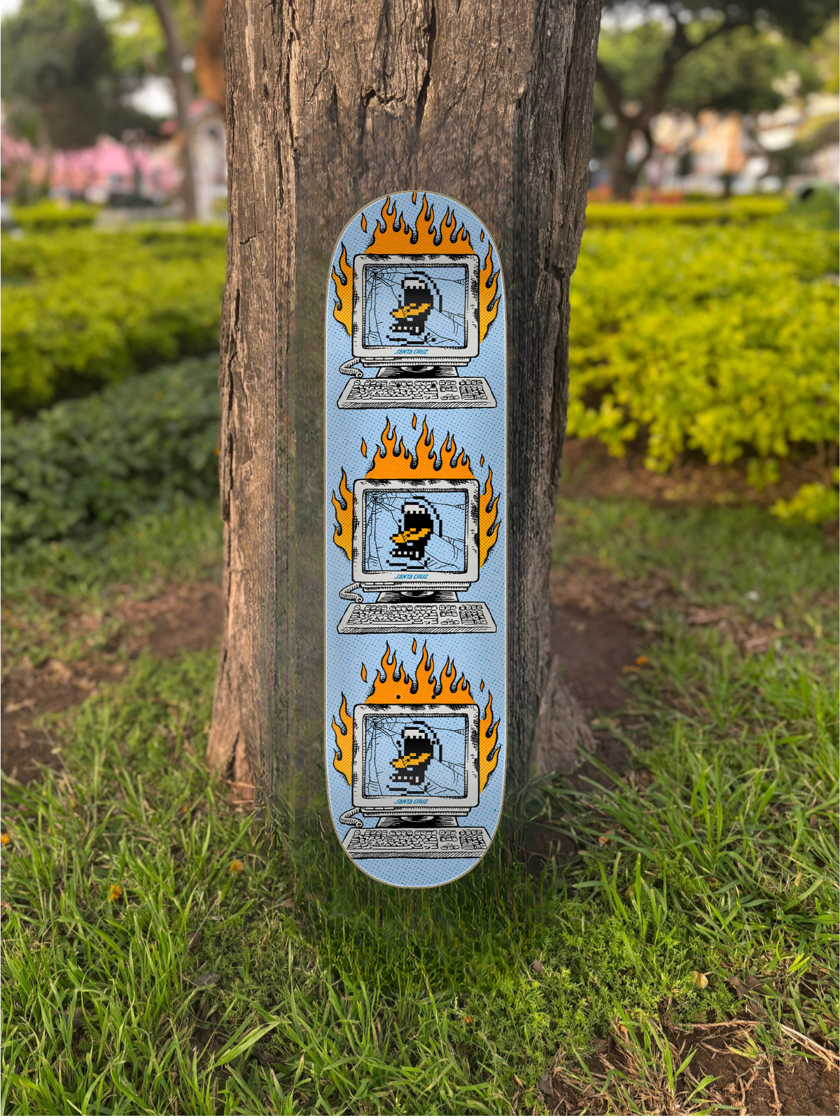 TABLA SANTA CRUZ