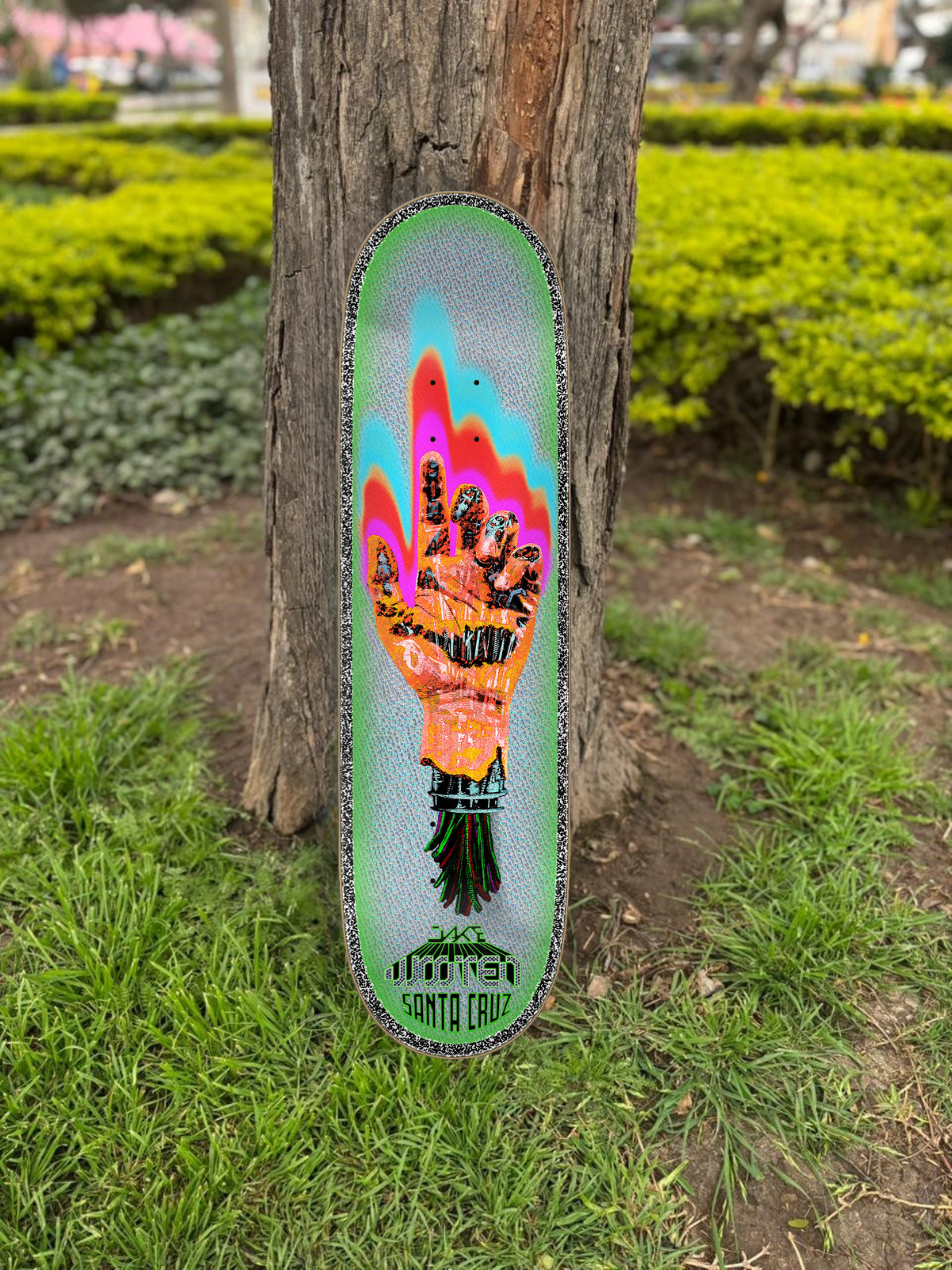 TABLA SANTA CRUZ JAKE WOOTEN VX