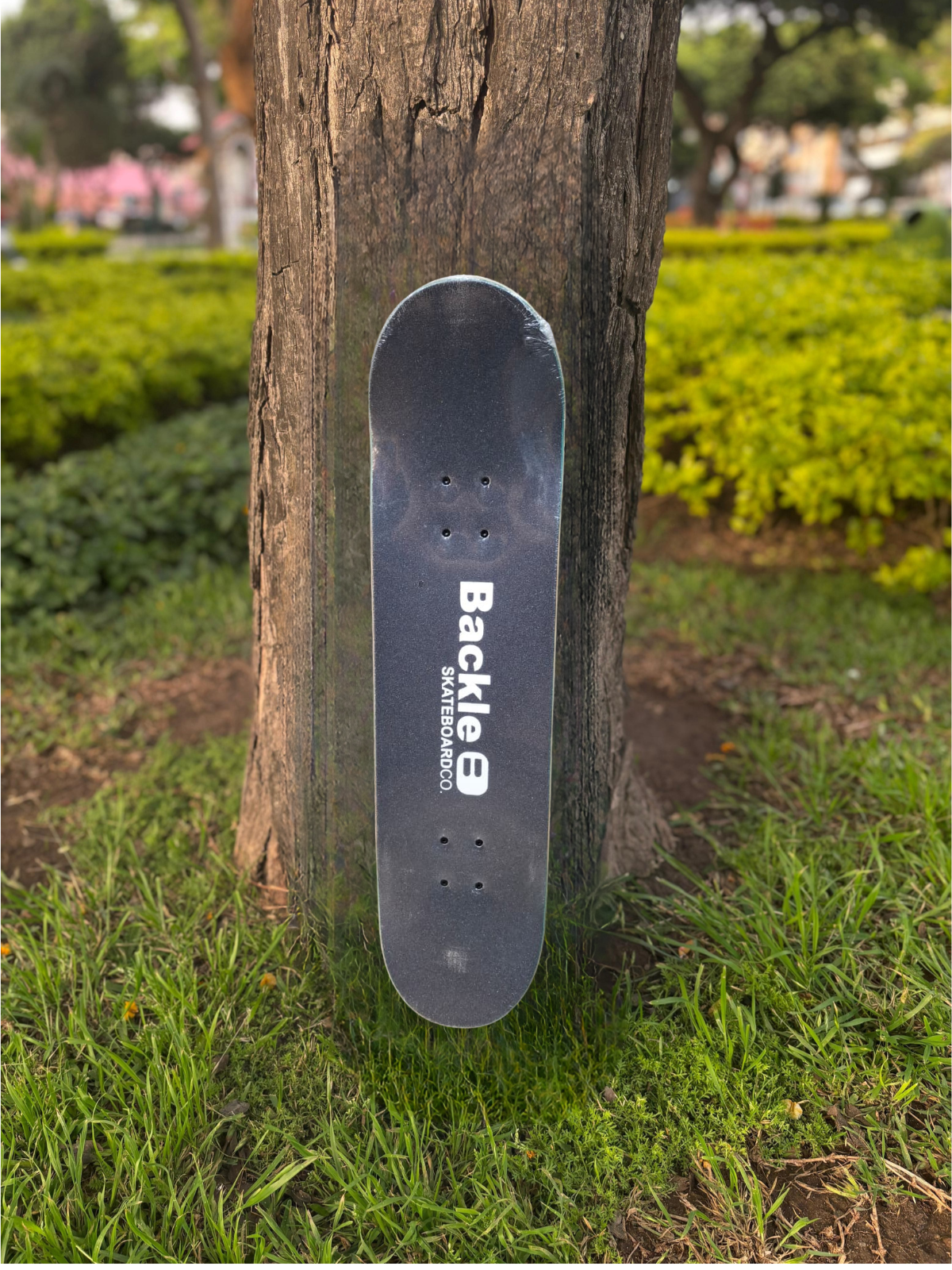 SKATE BACKLE SEMIPRO VANDALA
