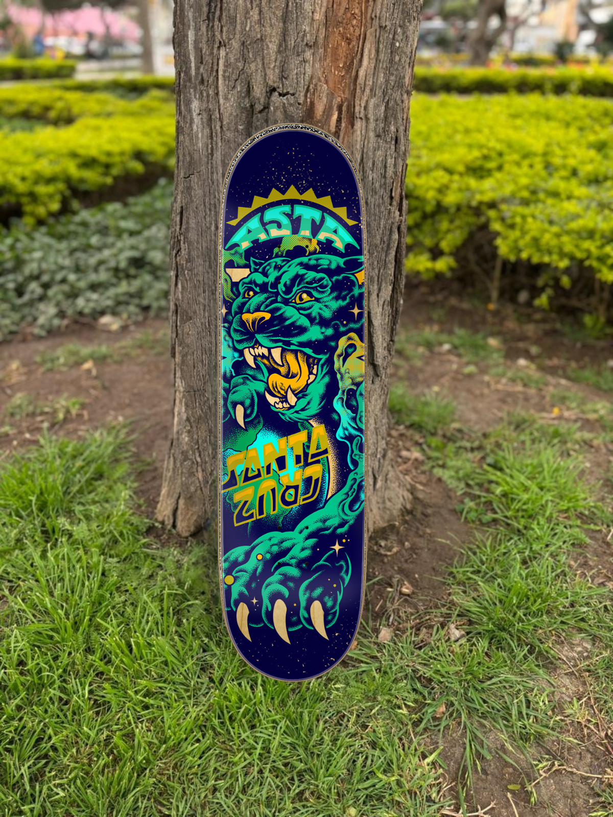 TABLA SANTA CRUZ