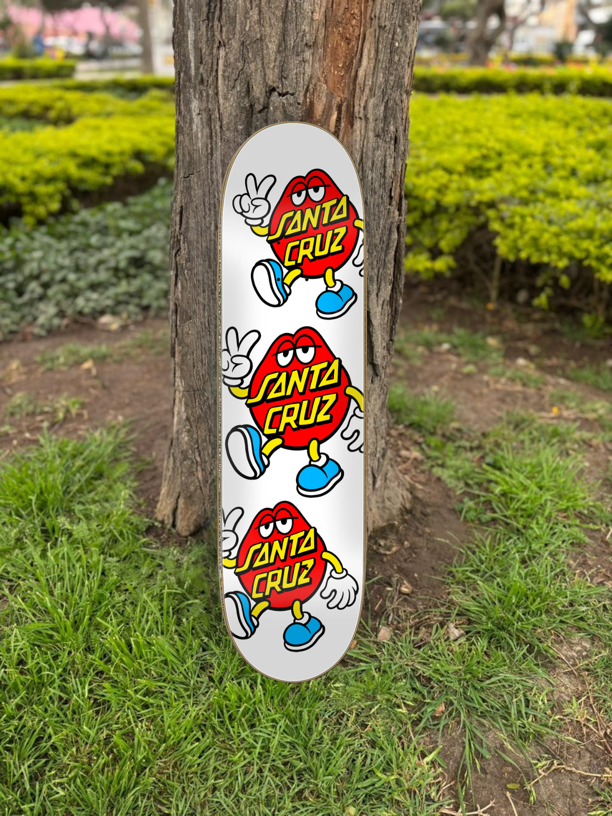 TABLA SANTA CRUZ