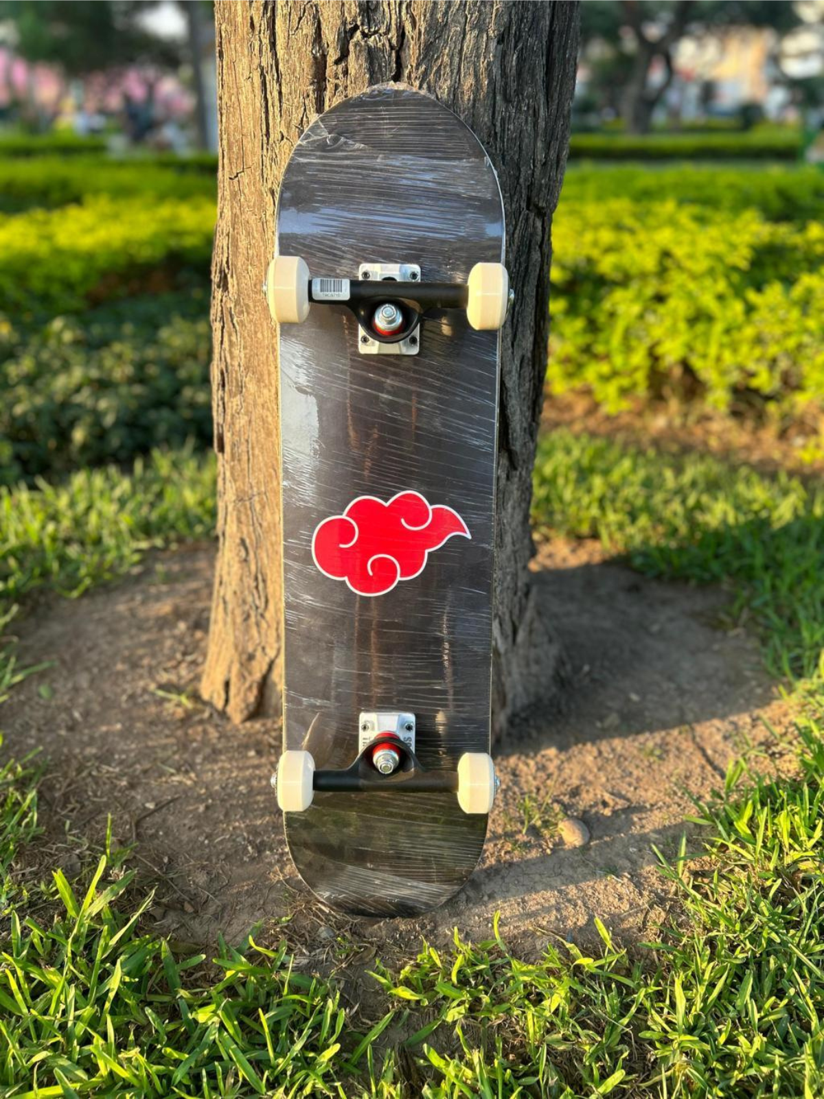 SKATE TRUCOS 8"