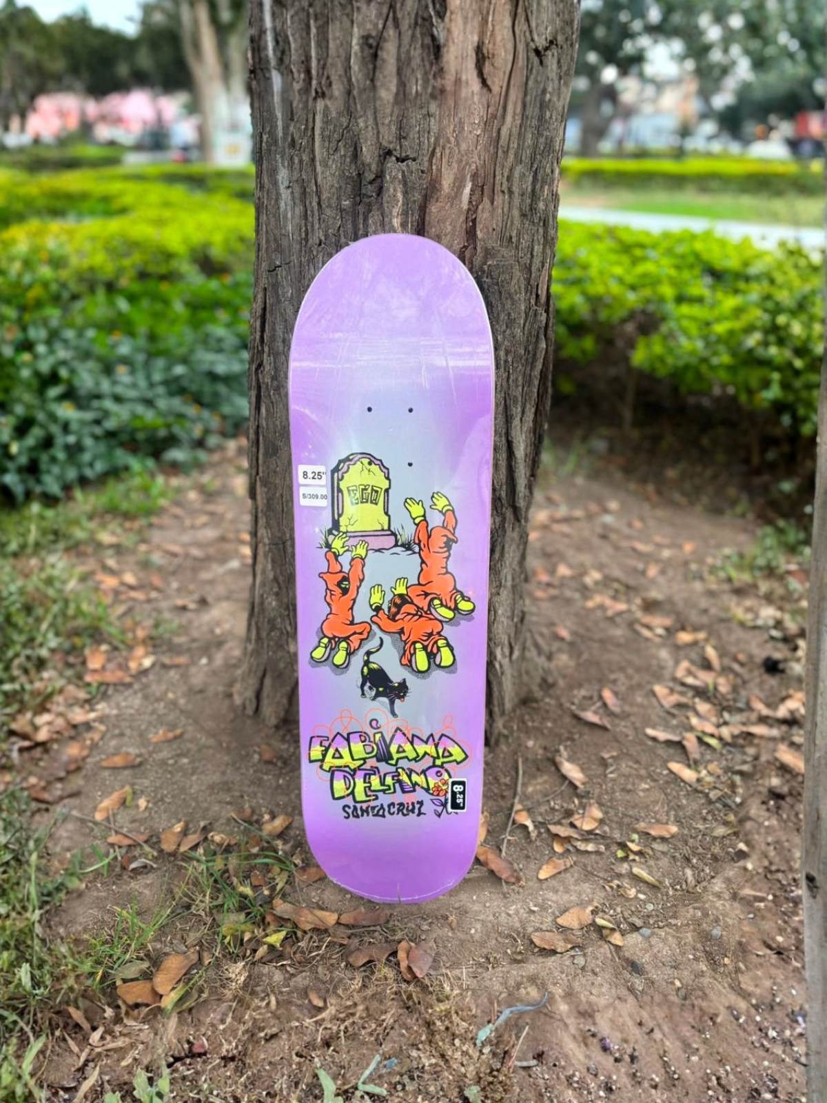 TABLA SANTA CRUZ