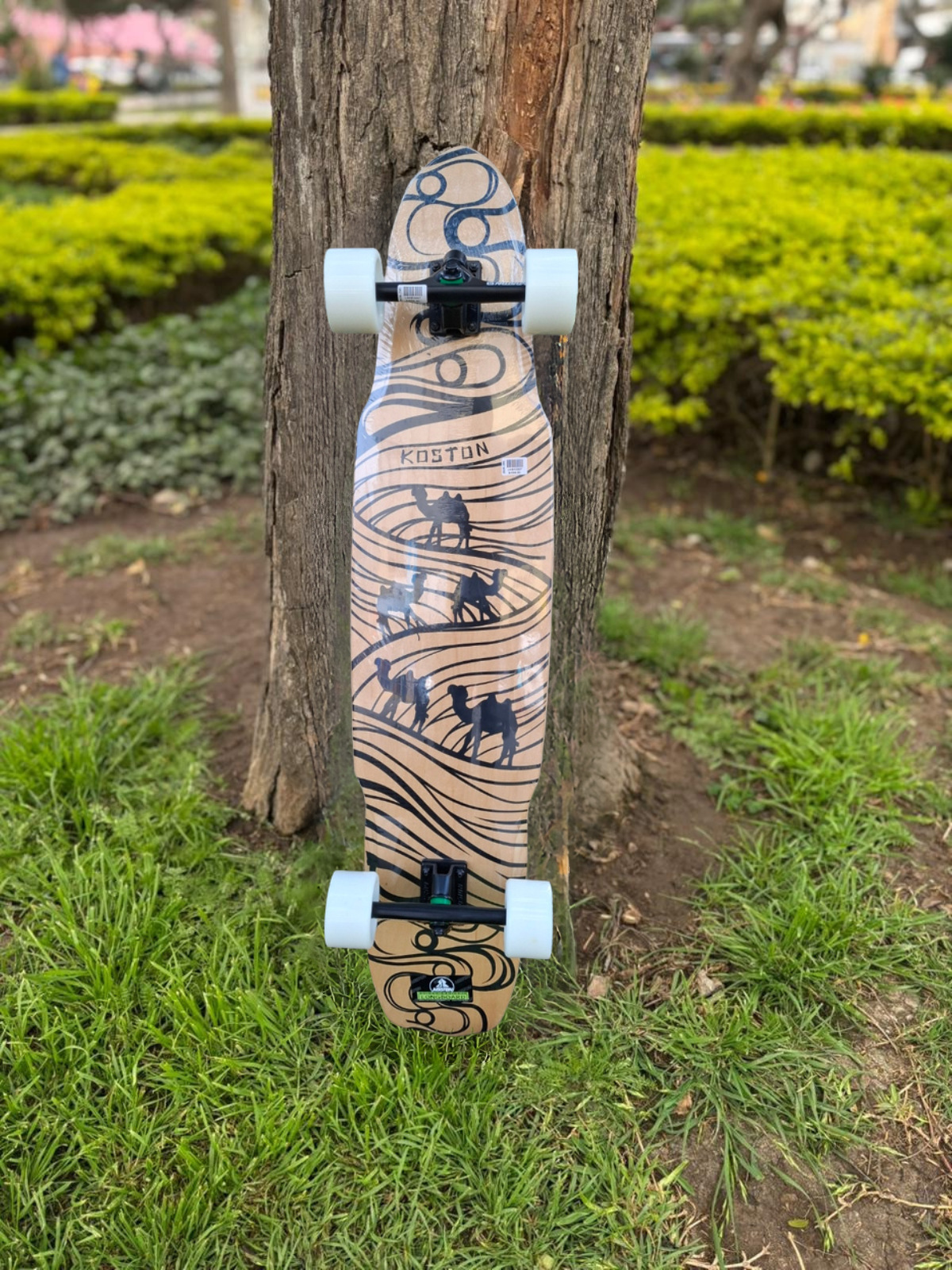 LONGBOARD KOSTON  DESERT