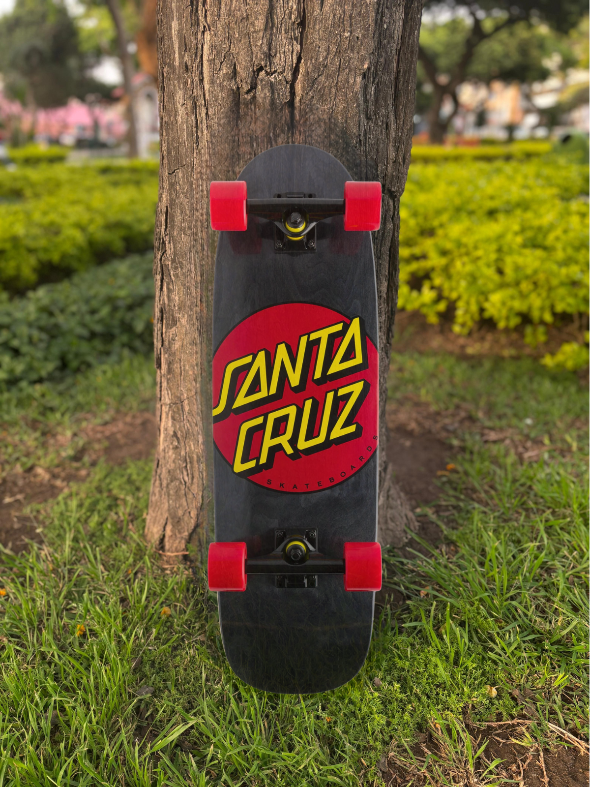CRUISER SANTA CRUZ CLASSIC DOT