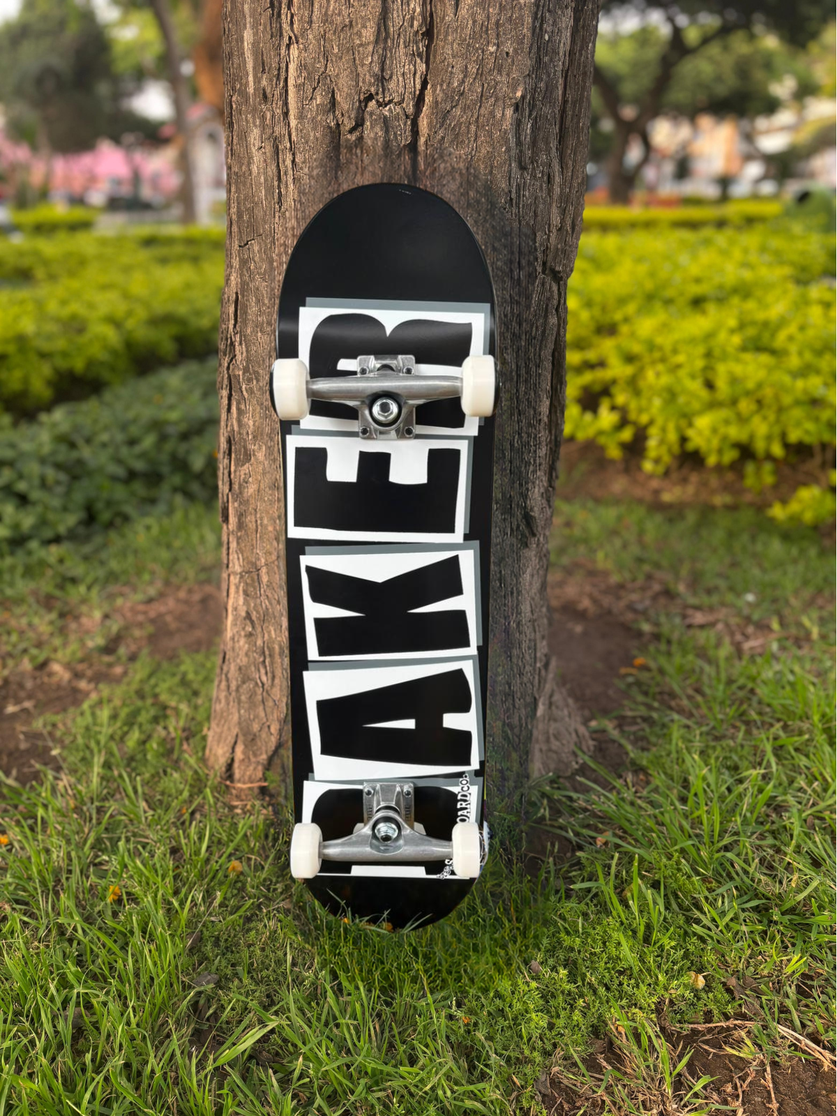 SKATE BAKER BLACK
