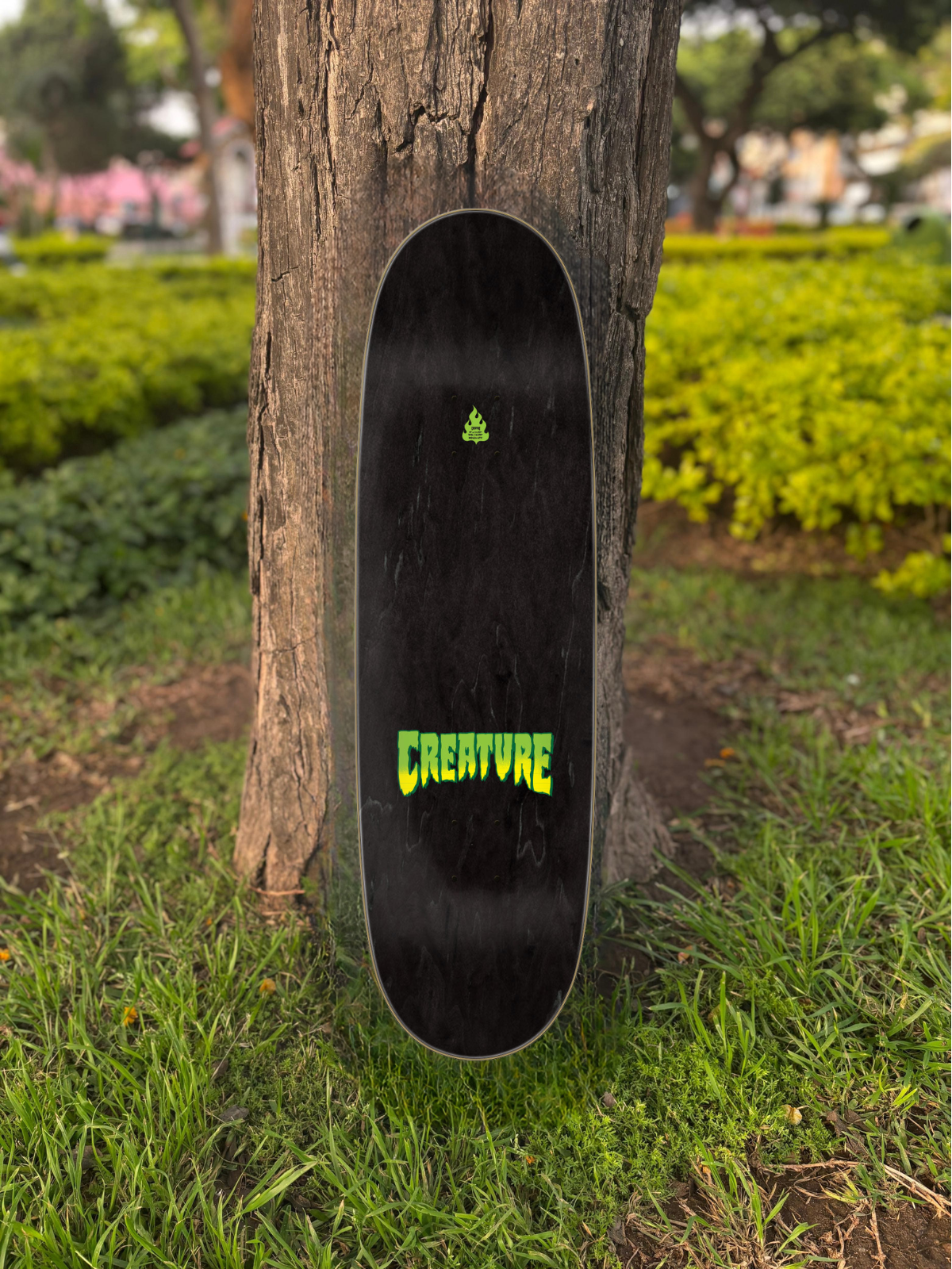 TABLA CREATURE