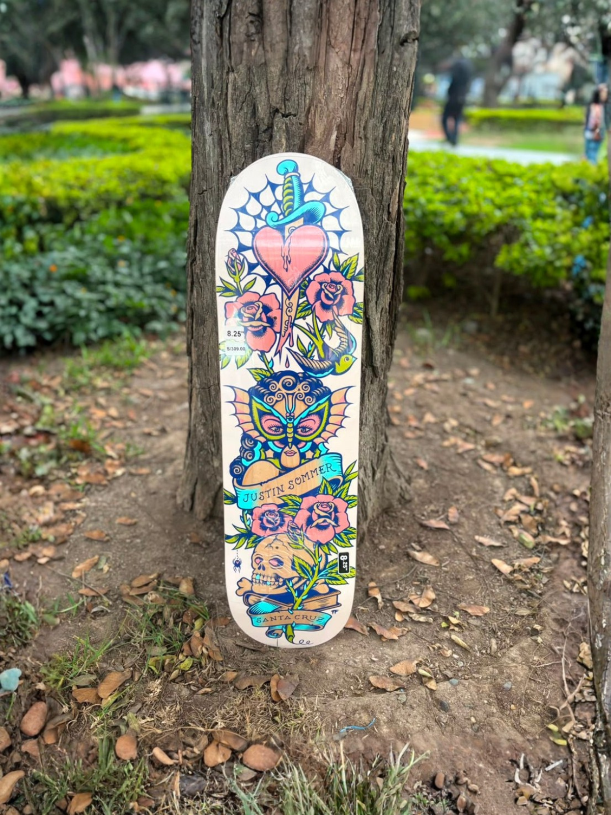 TABLA SANTA CRUZ
