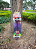 SKATE BACKLE SEMIPRO