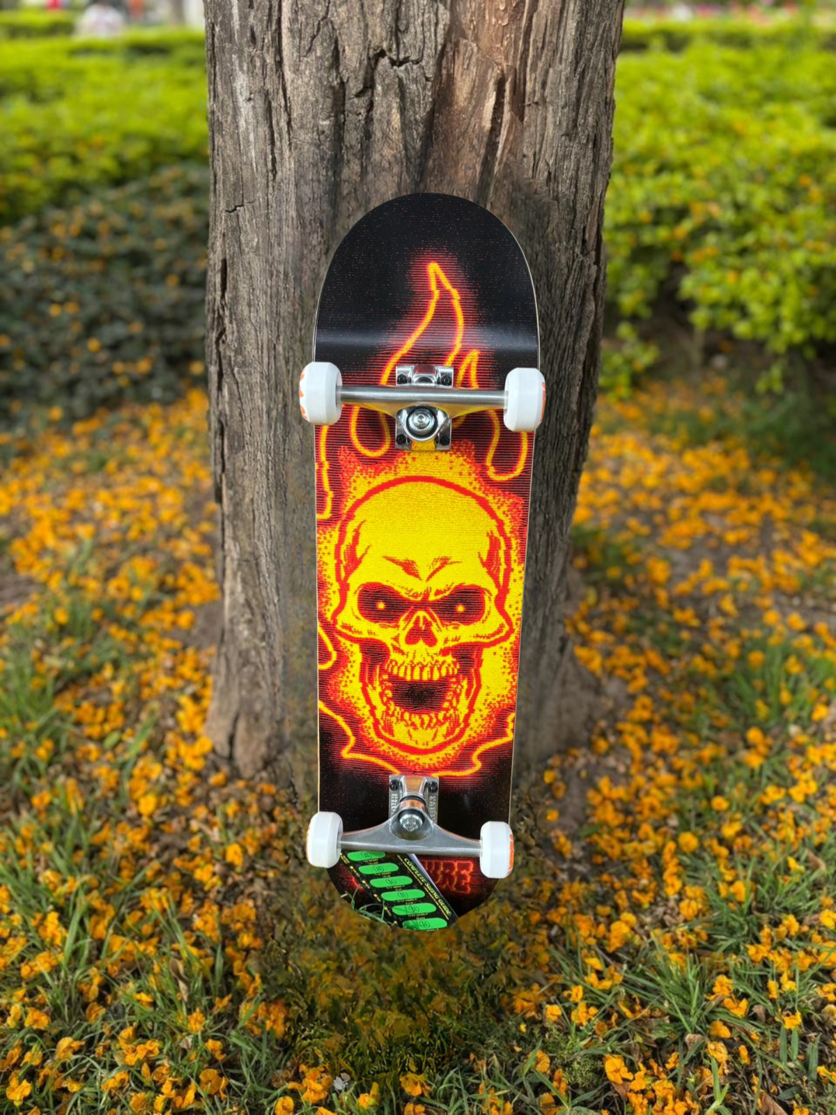 SKATE CREATURE PRO 8.5"