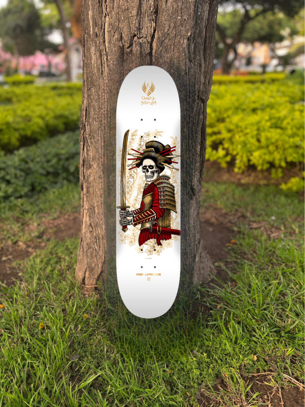 TABLA POWELL PERALTA FLIGHT