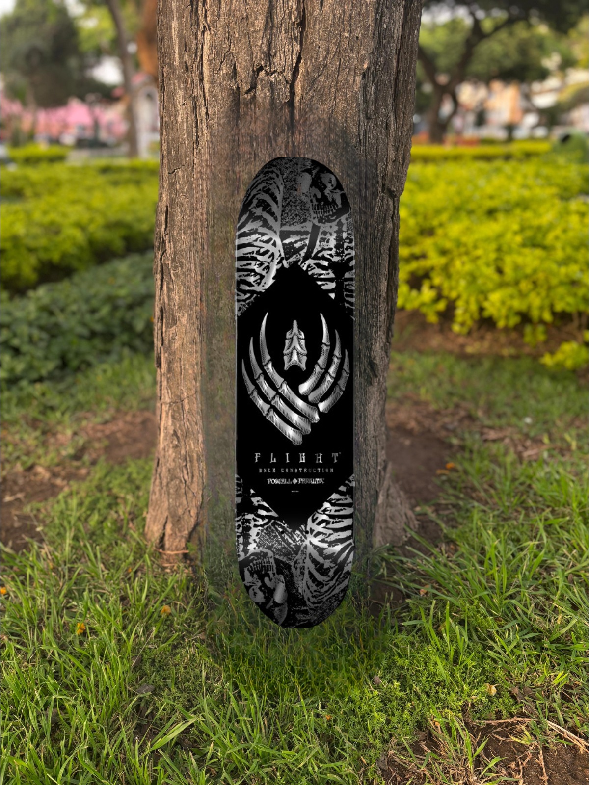 TABLA POWELL PERALTA FLIGHT