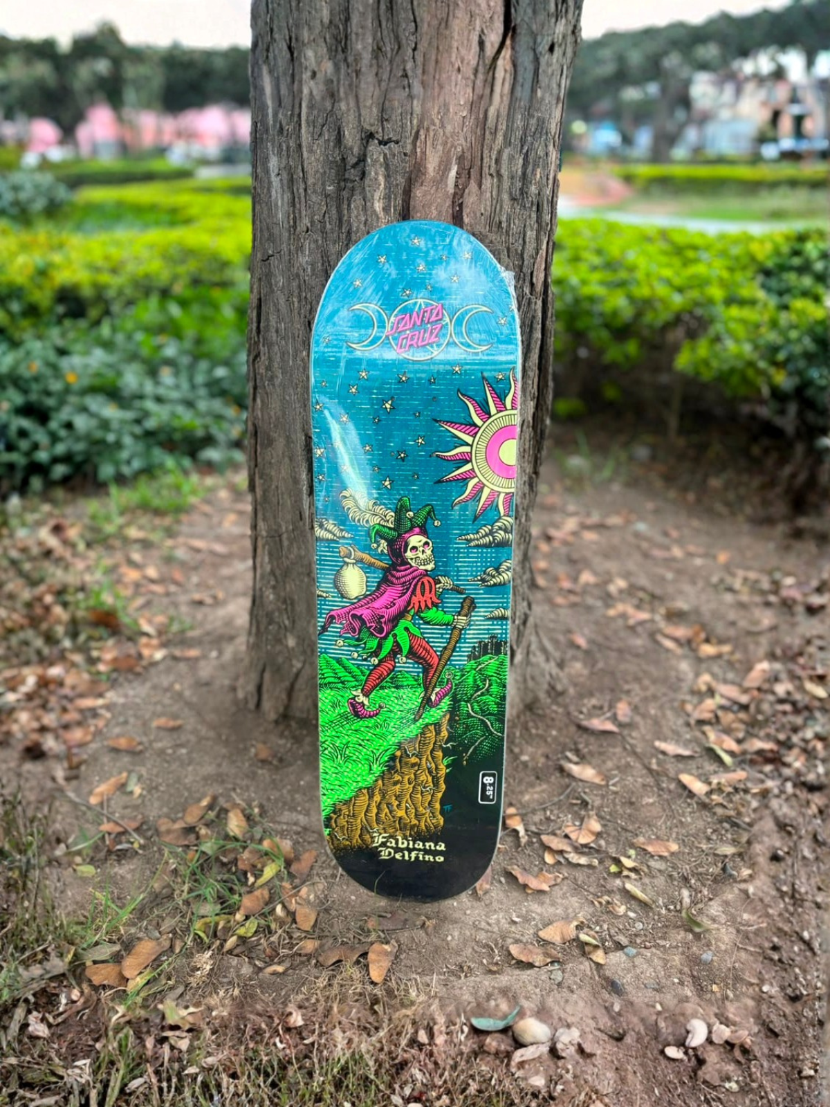 TABLA SANTA CRUZ