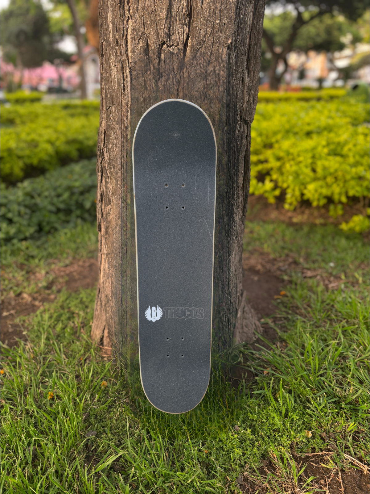 SKATE TRUCOS 8"