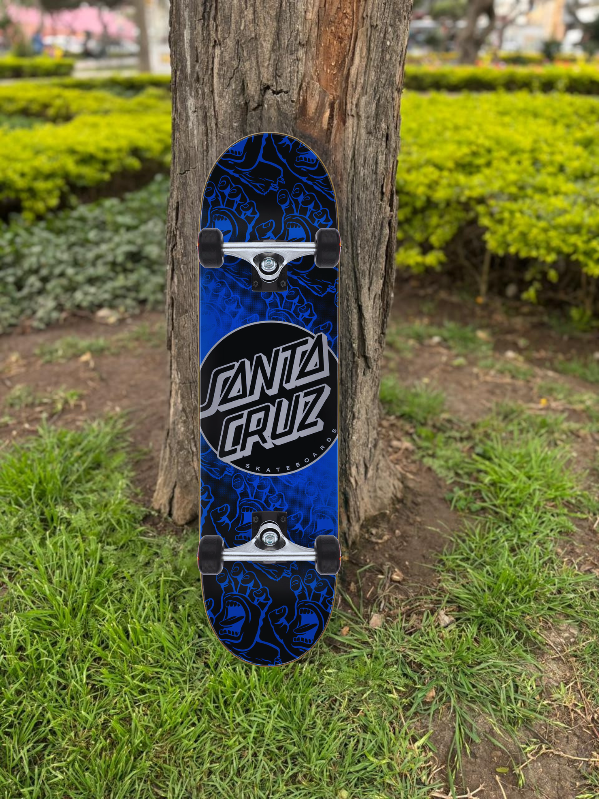 SKATE SANTA CRUZ 8.25"