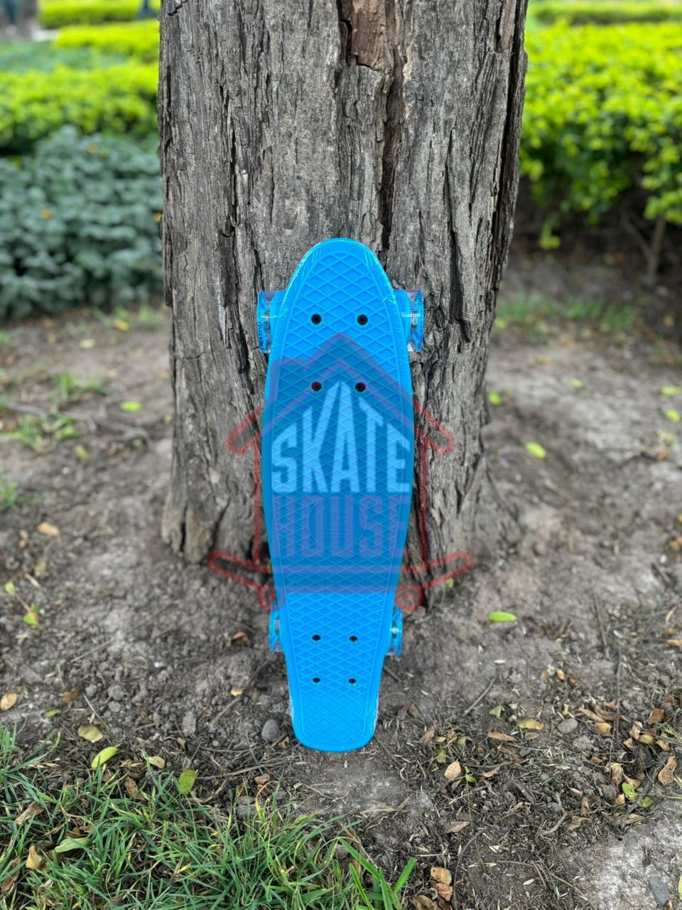 PENY GRAVITAL CELESTY