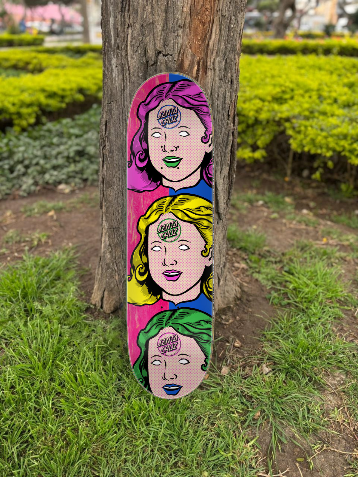 TABLA SANTA CRUZ