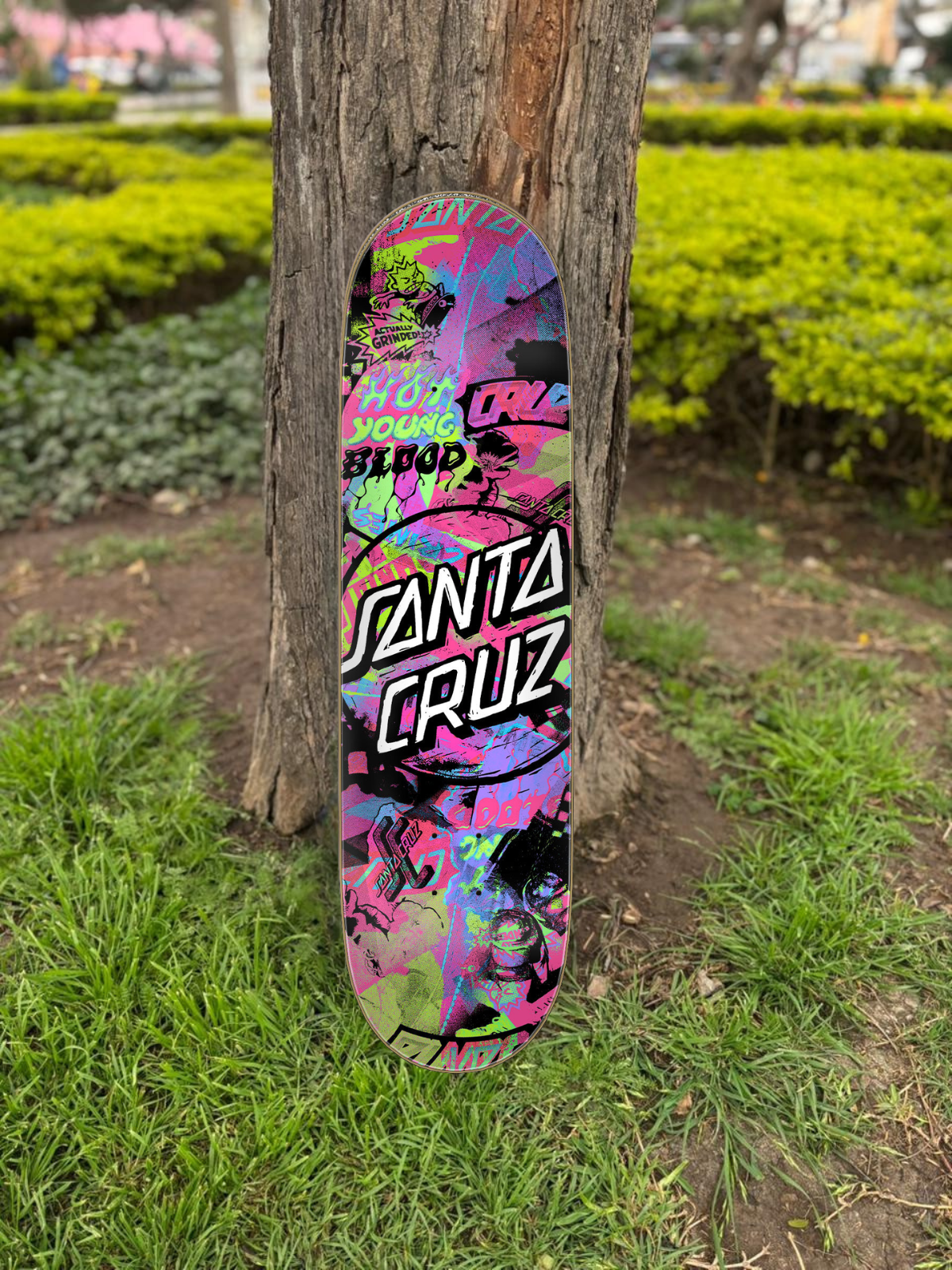 TABLA SANTA CRUZ