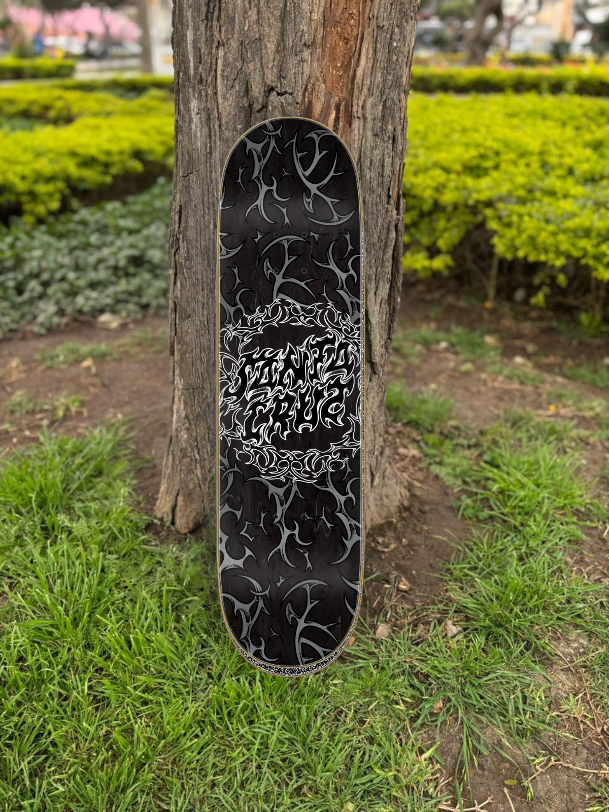 TABLA SANTA CRUZ