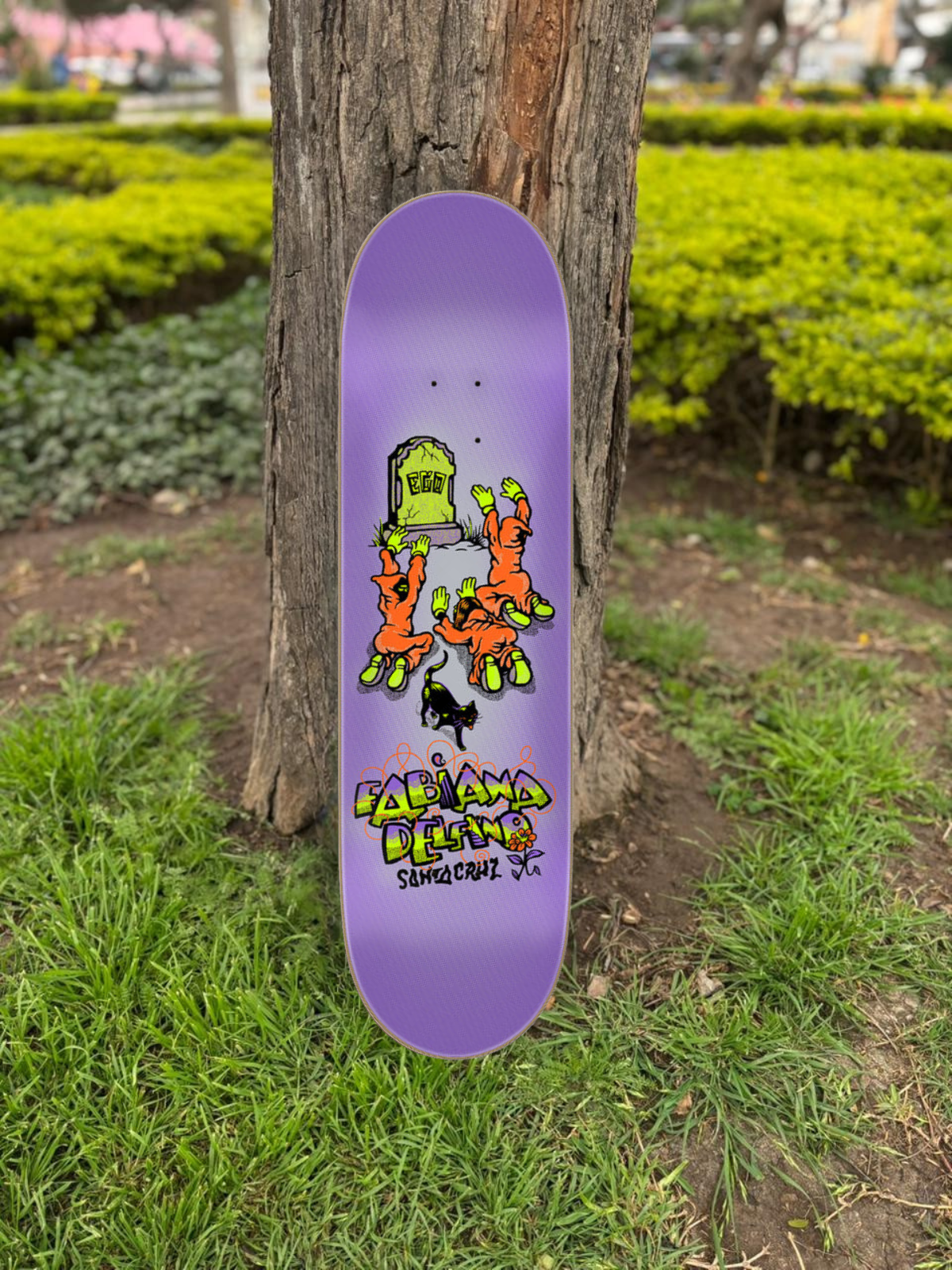 TABLA SANTA CRUZ