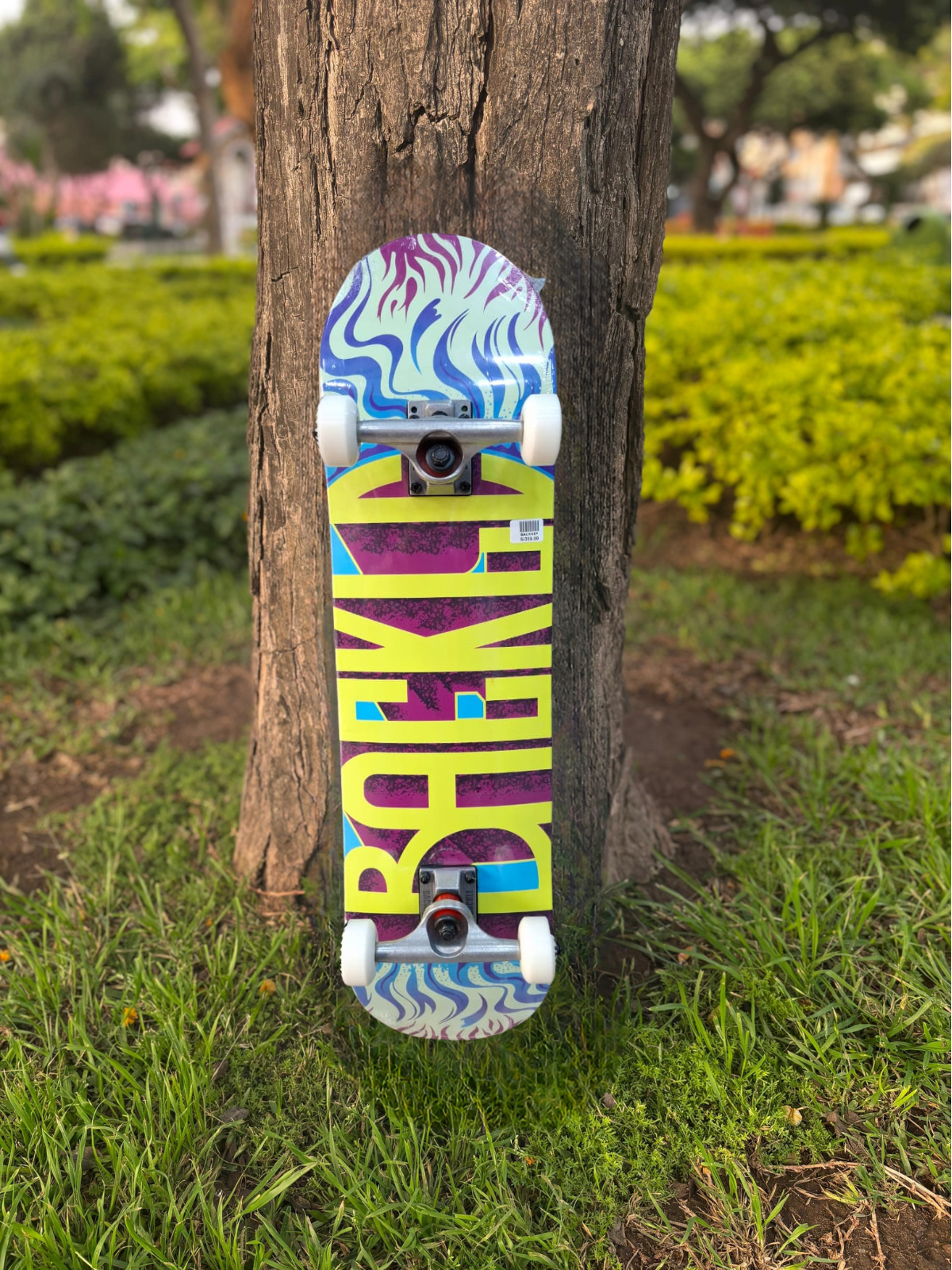 SKATE BACKLE SEMIPRO CELTY