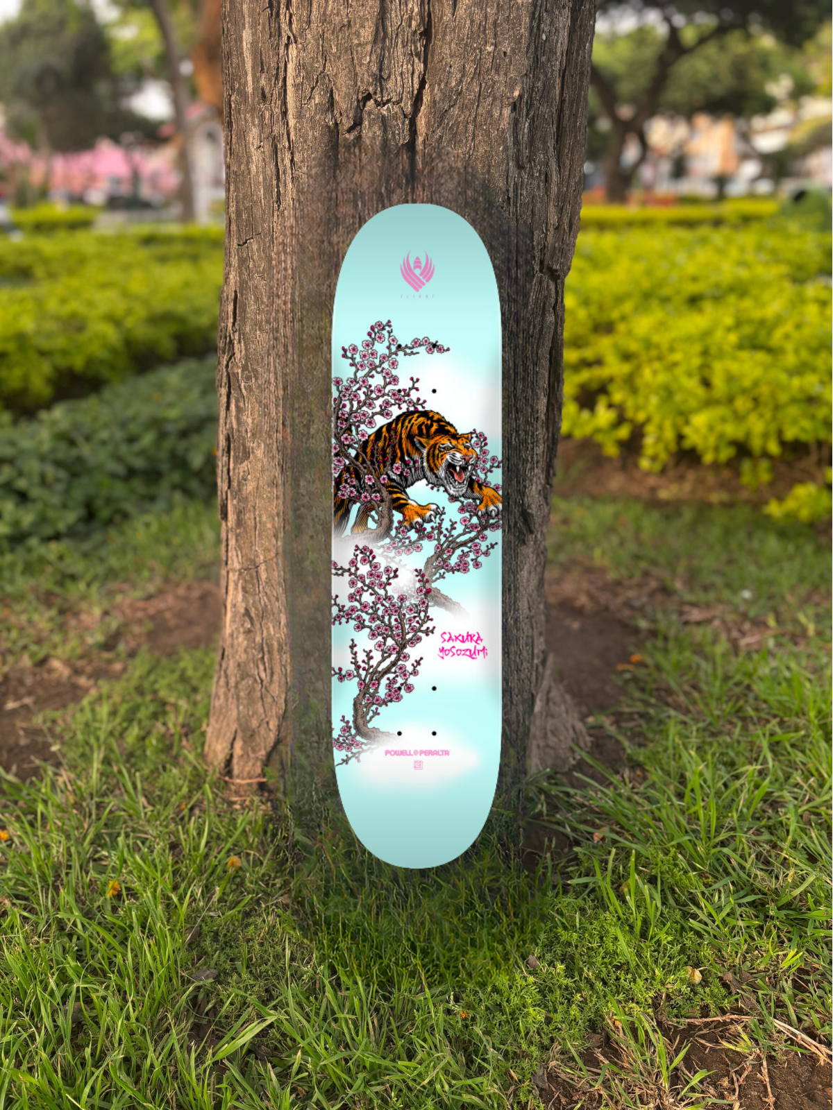 TABLA POWELL PERALTA FLIGHT
