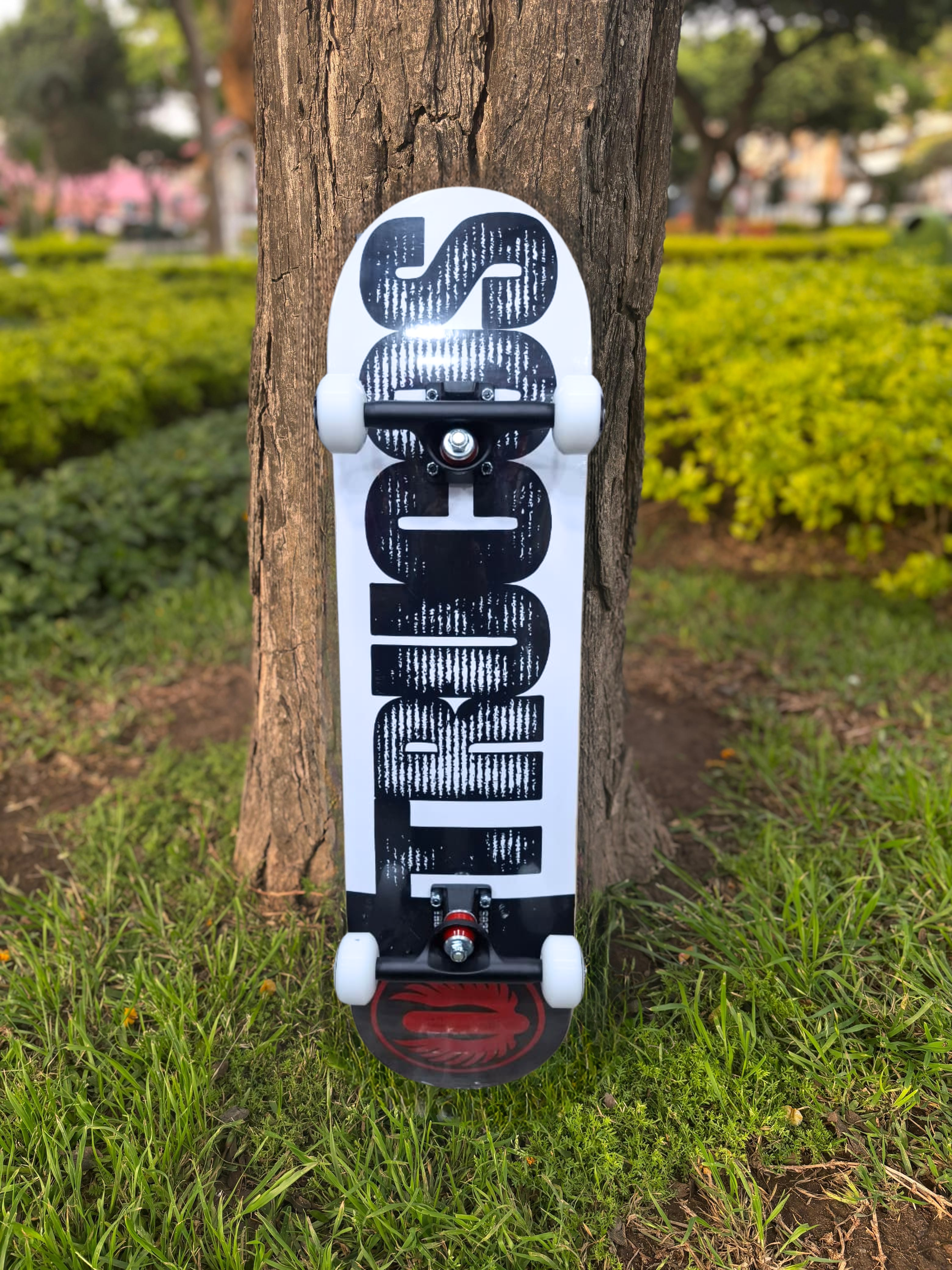 SKATE TRUCOS 8"