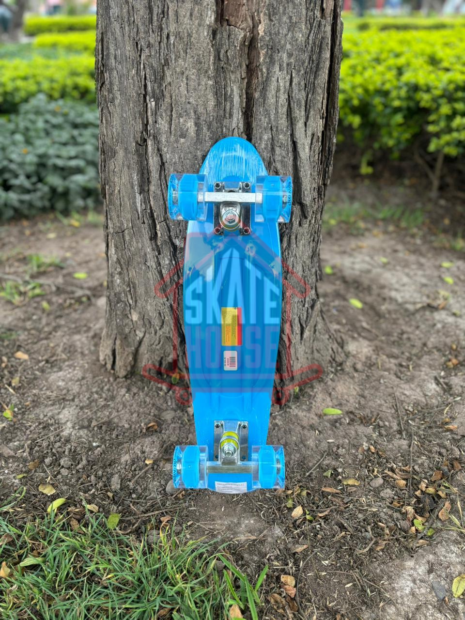 PENY GRAVITAL CELESTY