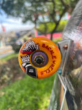 SKATE BACKLE PRO  RIBBON