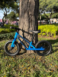 BICICLETA DE EQUILIBRIO BLUE