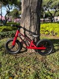 BICICLETA DE EQUILIBRIO RED
