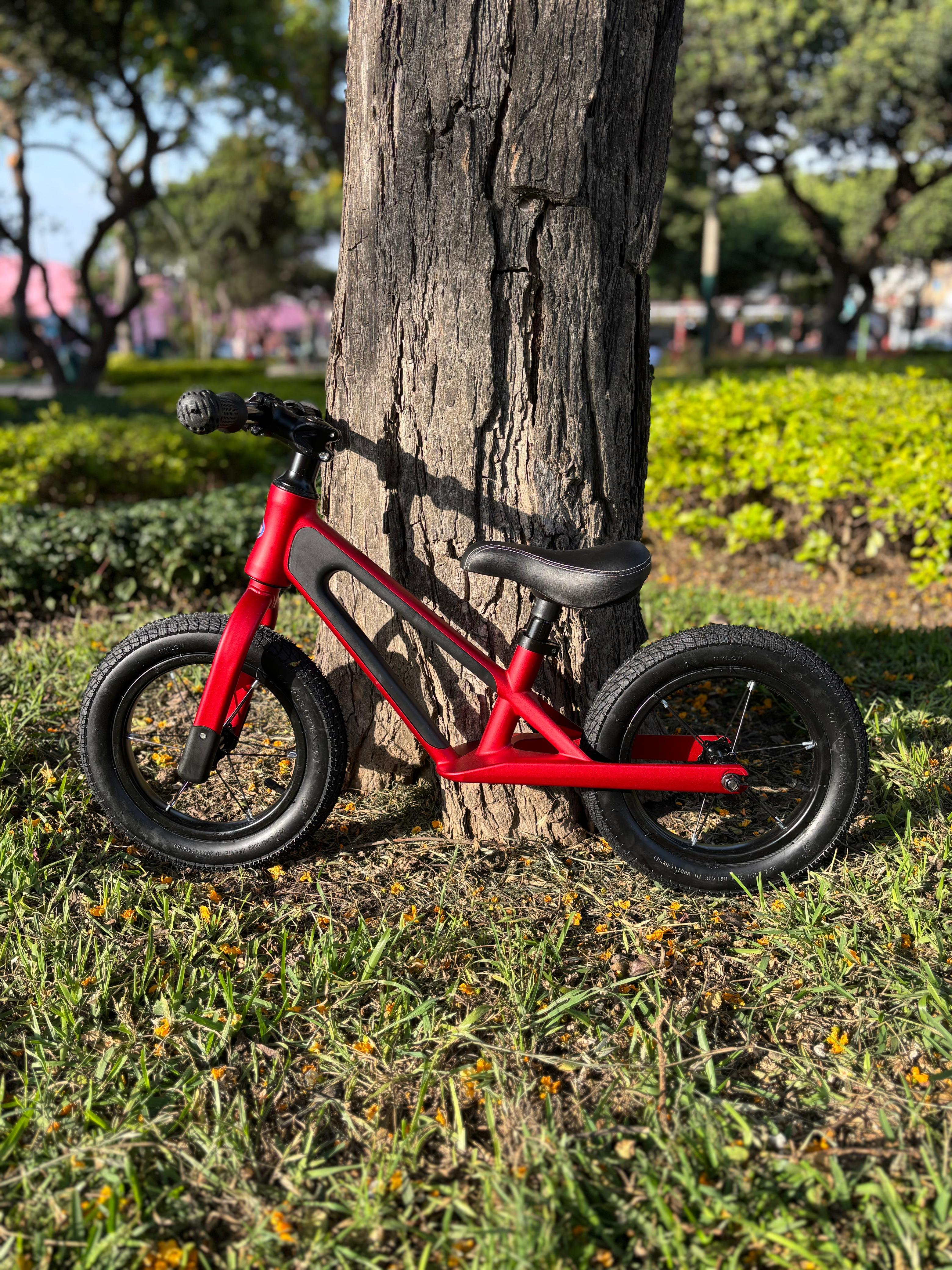 BICICLETA DE EQUILIBRIO RED