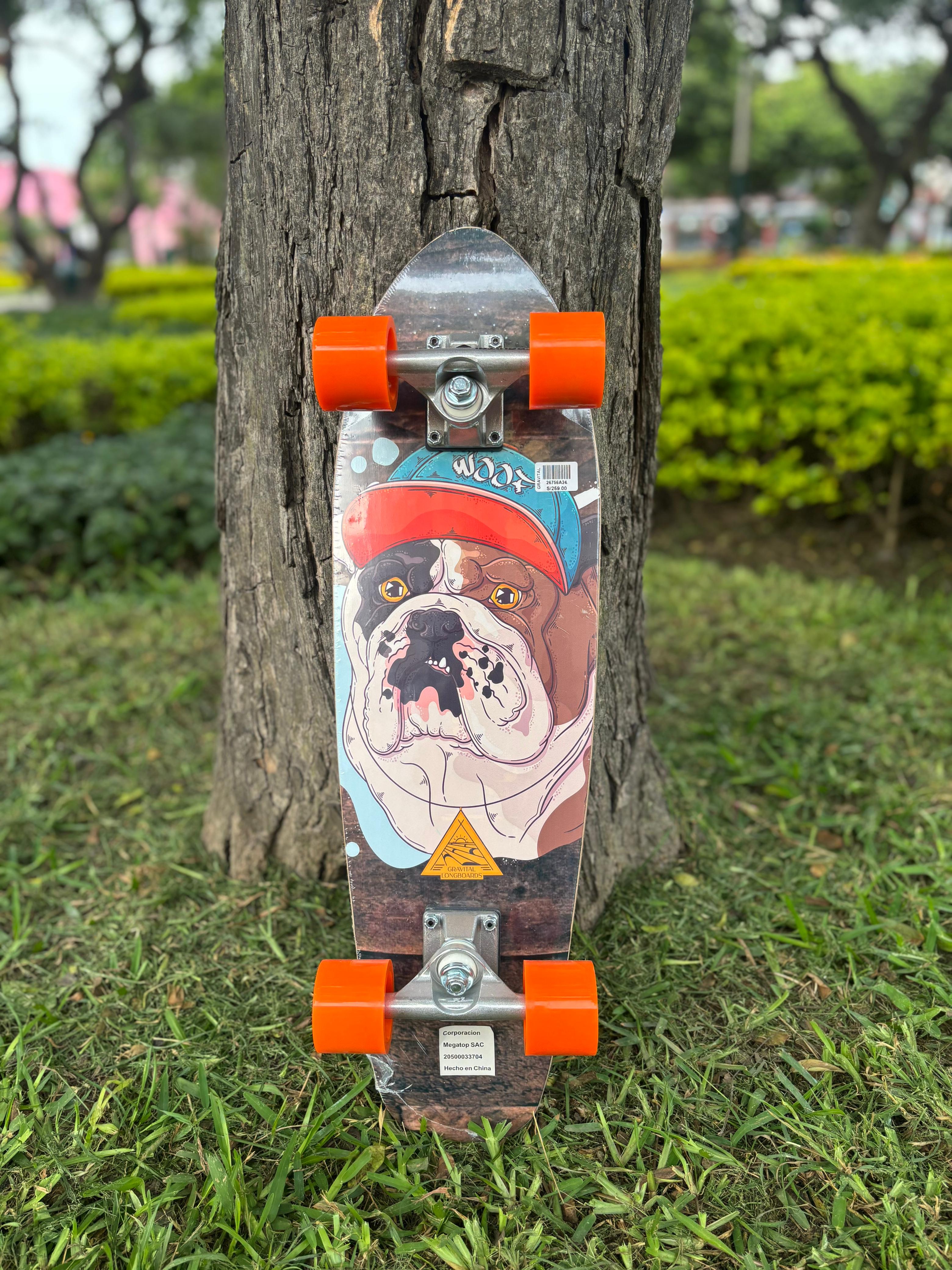 MINI CRUISER GRAVITAL DOG