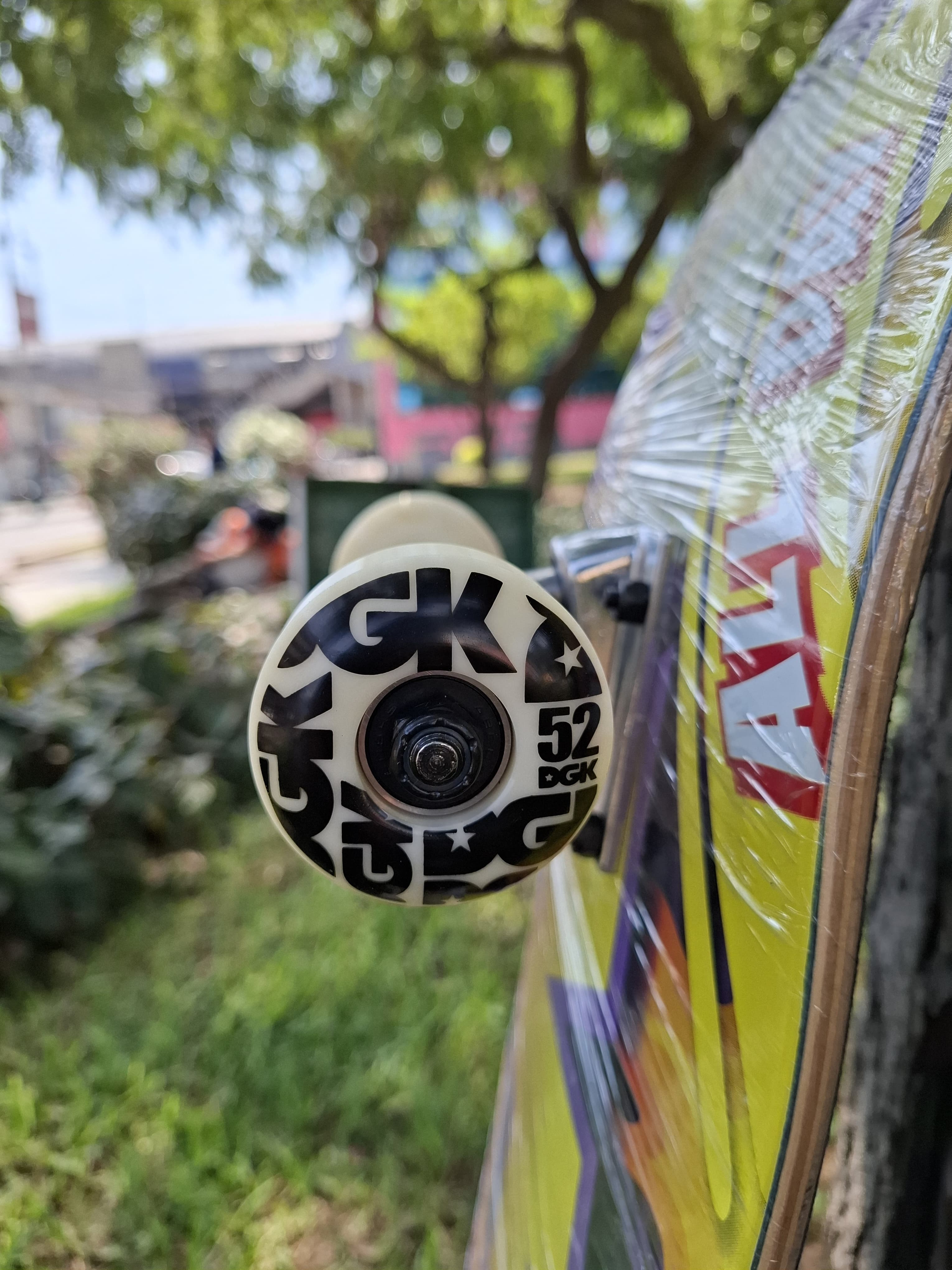 SKATE DGK PRO 7.75"