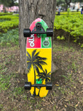 SURF SKATE OLLIE RAND