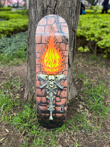 TABLA SANTA CRUZ 8.25"