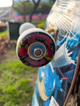 SKATE NATURAL PRO BLASTOISE 8.25"