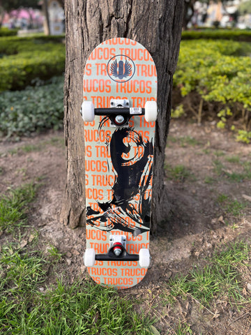 SKATE TRUCOS BIYAH