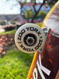 SKATE ZOO YORK PRO 8.25"