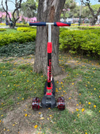 SCOOTER OKA MAXI SWIFT KICKS