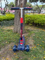 SCOOTER OKA MAXI CRUIBAN