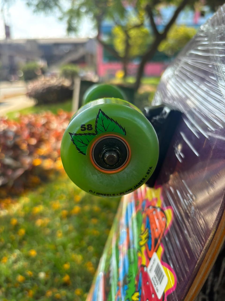 CRUISER SANTA CRUZ HAND TOXIC