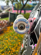 SKATE SANTA CRUZ 8.5"