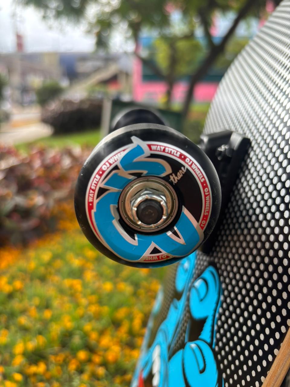SKATE SANTA CRUZ PRO 8.25"