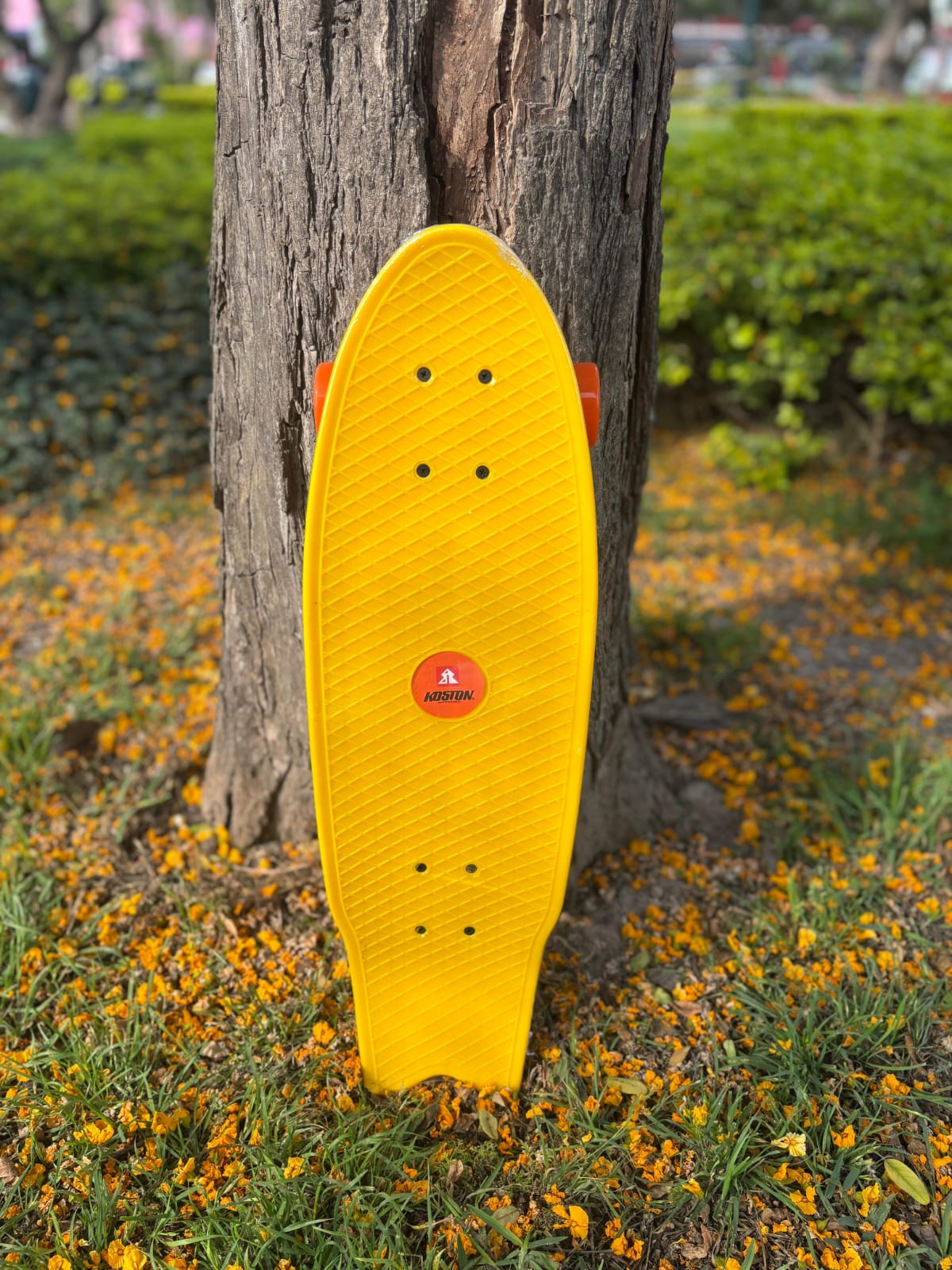 MINI CRUISER KOSTON 27"