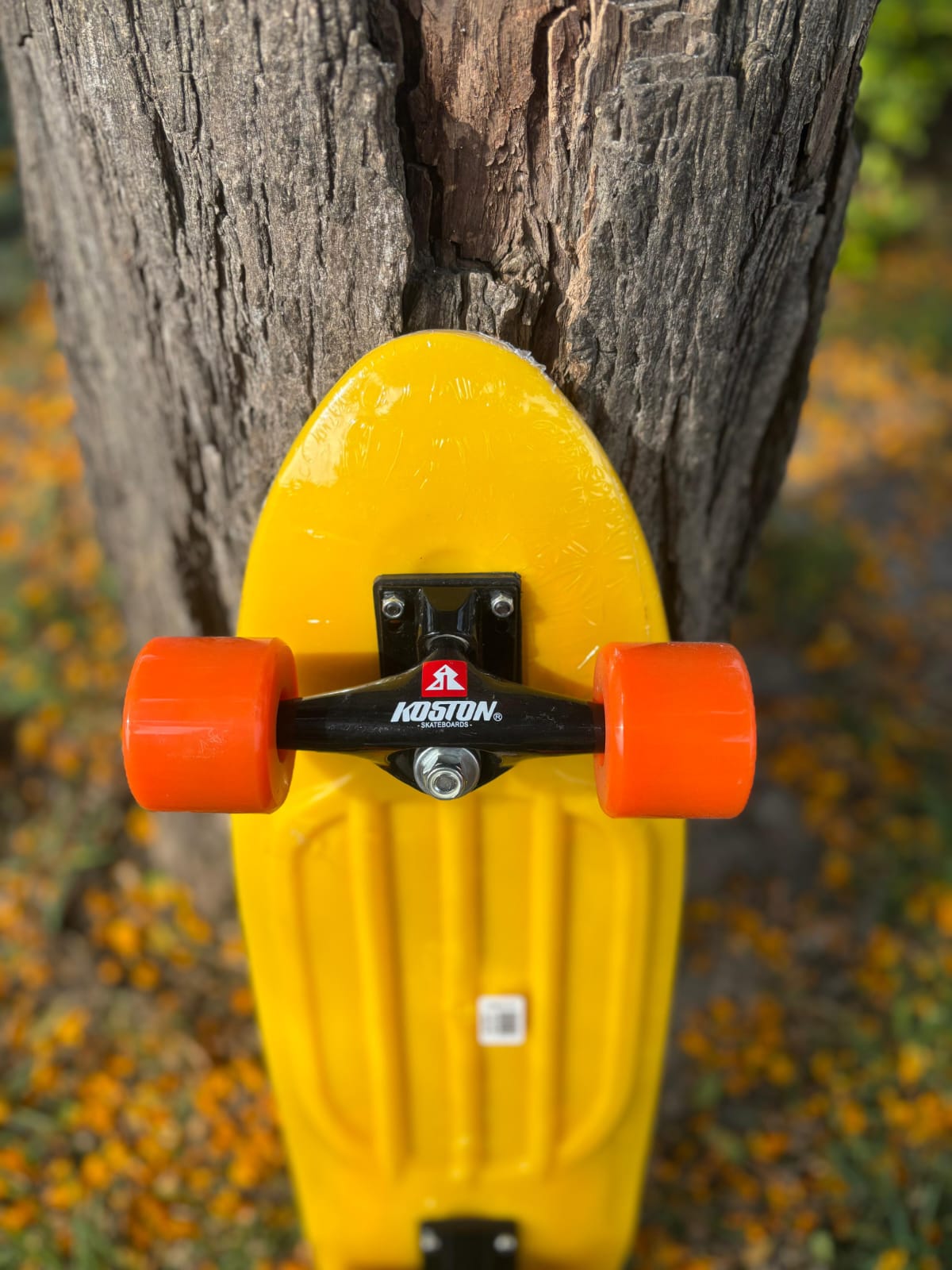 MINI CRUISER KOSTON 27"