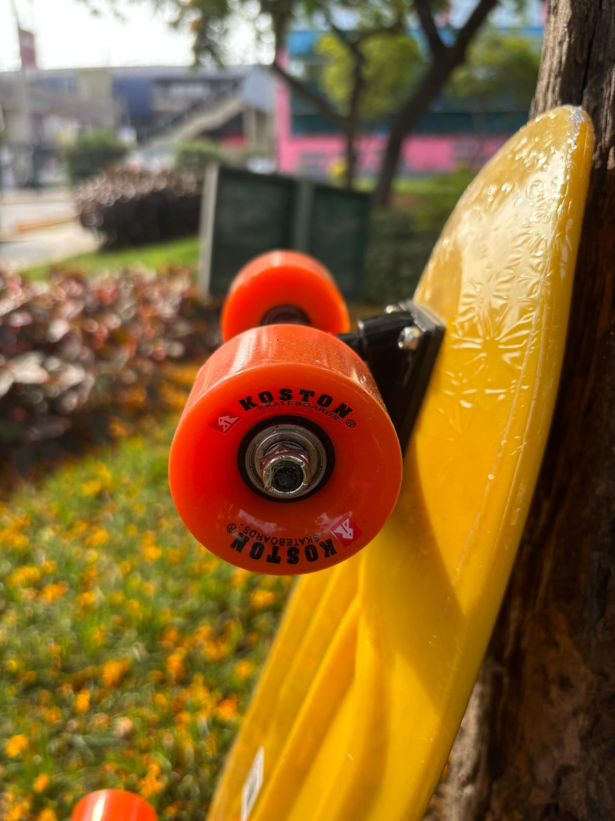 MINI CRUISER KOSTON 27"